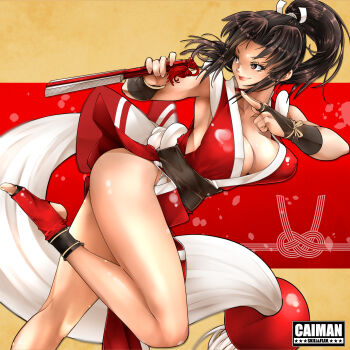 1girl breasts fatal_fury large_breasts long_hair shiranui_mai