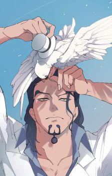 085reed 1boy bird bird_on_hand black_hair blue_shirt blue_sky closed_mouth collared_shirt commentary_request facial_hair goatee green_eyes hair_slicked_back hat hattori_(one_piece) highres jacket looking_at_another one_piece rob_lucci shirt sky white_hat white_jacket