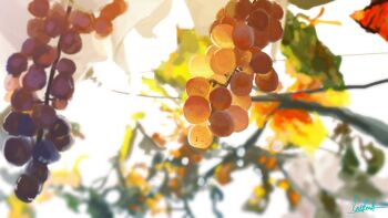 absurdres banishment branch commentary_request day food fruit fruit_focus grapes highres no_humans original outdoors still_life subsurface_scattering sunlight