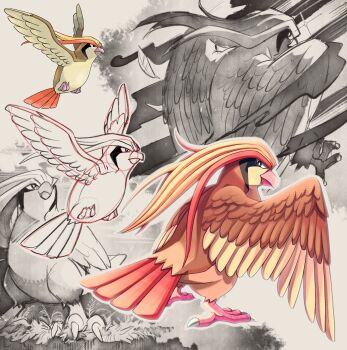 bird bright_pupils brown_eyes commentary_request feathers gen_1_pokemon grass highres long_hair looking_up nintendo no_humans pidgeot pokemon pokemon_(creature) pokemon_focus pokemon_rgby shoupitsuki sketch talons white_pupils wings