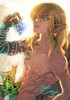 1boy 2025 aqua_eyes aqua_nails artist_name blonde_hair body_markings commentary_request convenient_censoring creature earrings food fruit glowing glowing_eyes grapes hair_between_eyes highres holding holding_food holding_fruit jewelry korok leaf leaf_censor link long_hair looking_at_viewer male_focus nintendo nude parted_lips pointy_ears scar scar_on_arm scar_on_chest sidelocks solo summer the_legend_of_zelda the_legend_of_zelda:_tears_of_the_kingdom upper_body wet yamiochirink