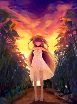 1girl bare_shoulders belt_collar black_bow blunt_bangs blush bow bracelet closed_mouth cloud collar collarbone contrail dress field flower flower_field full_body gerogero24034 grey_hair hair_down hands_on_headwear hat hat_bow highres jewelry lace_trim long_hair looking_at_viewer makaino_ririmu makaino_ririmu_(3rd_costume) multicolored_hair nijisanji no_socks pointy_ears red_collar red_eyes red_streaks sandals see-through_clothes see-through_skirt sidelocks skirt sky sleeveless sleeveless_dress smile solo standing straight_hair strap_slip straw_hat streaked_hair sundress sunflower sunflower_field sunset two-tone_hair virtual_youtuber white_dress white_sandals