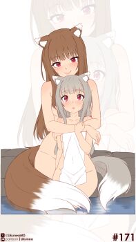 2girls absurdres animal_ears blush breasts brown_hair closed_mouth commentary completely_nude english_commentary grey_hair highres holo hug hug_from_behind likunea long_hair medium_breasts mother_and_daughter multiple_girls myuri_(spice_and_wolf) naked_towel nude patreon_logo patreon_username red_eyes simple_background smile spice_and_wolf tail towel twitter_username twitter_x_logo white_background wolf_and_parchment wolf_ears wolf_girl wolf_tail zoom_layer