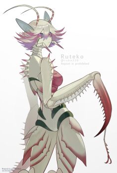 1girl antennae arthropod_girl carapace closed_mouth colored_sclera colored_skin cowboy_shot from_behind gradient_background grey_sclera highres looking_at_viewer mantis_girl monster_girl original pink_eyes pink_hair ruteko_(ruko220) short_hair simple_background solo twitter_username white_background white_hair white_skin