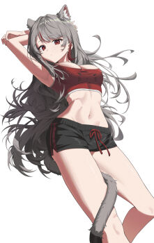 1girl animal_ear_fluff animal_ears armpits arms_behind_back arms_up black_shorts breasts cat_ears cat_girl cat_tail chyanu cleavage closed_mouth commentary expressionless feet_out_of_frame grey_hair highres large_breasts linea_alba long_hair looking_at_viewer multicolored_hair navel neneko_mashiro parted_bangs red_eyes red_sports_bra short_shorts shorts simple_background solo sports_bra stellive stomach streaked_hair symbol-only_commentary tail toned toned_female very_long_hair virtual_youtuber white_background