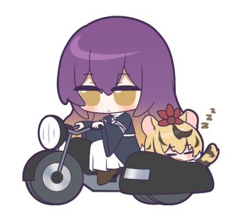 Rule 34 | 2girls, animal ears, black dress, black hair, blonde hair, blush, brown shoes, chibi, chibi only, closed eyes, closed mouth, commentary, dress, english commentary, gradient hair, hijiri byakuren, kemonomimi mode, layered dress, long hair, long sleeves, motor vehicle, motorcycle, multicolored hair, multiple girls, no noru, on motorcycle, purple hair, shoes, simple background, sleeping, streaked hair, tail, tiger ears, tiger girl, tiger tail, toramaru shou, touhou, white background, white dress, yellow eyes, zzz