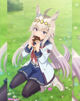 1girl ahoge animal_ears black_pantyhose blue_eyes blue_sailor_collar blue_skirt boots brooch donut ear_ornament eating flower food food_in_mouth grass grey_hair grey_tail hair_between_eyes hair_ornament hairband highres holding holding_donut holding_food horse_ears horse_girl horse_tail jacket jewelry long_hair long_sleeves looking_at_viewer meiji_(kurumierika) midriff_peek multicolored_hair navel neckerchief oguri_cap_(starlight_beat)_(umamusume) oguri_cap_(umamusume) outdoors pantyhose pleated_skirt red_neckerchief sailor_collar seiza shirt sitting skirt solo star_brooch tail umamusume white_boots white_jacket white_shirt
