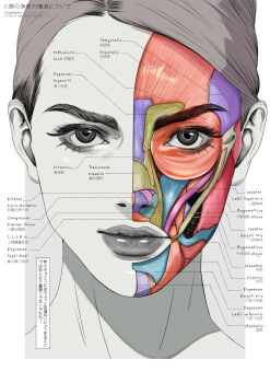 1girl anatomy closed_mouth commentary diagram educational elolaillustrator english_commentary hatching_(texture) highres original portrait solo straight-on