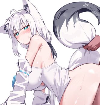Rule 34 | 1boy, 1girl, :/, animal ear fluff, animal ears, aqua eyes, armpit crease, black ribbon, blush, bottomless, breasts, closed mouth, commentary request, deaver, detached sleeves, doggystyle, fox ears, fox girl, fox tail, from side, hair ribbon, hetero, highres, hololive, large breasts, long hair, looking at viewer, paid reward available, pentagram, ribbon, sex, sex from behind, shirakami fubuki, shirakami fubuki (1st costume), sideboob, simple background, tail, tail grab, vest, virtual youtuber, white background, white hair, white vest, wide sleeves