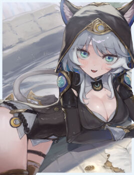 1girl absurdres animal_ear_fluff animal_ears black_gloves blue_eyes blush braid breasts cat_ears cat_girl cat_tail cipher_(honkai:_star_rail) cleavage coin commentary_request fingerless_gloves gloves gold_coin grey_hair highres holding honkai:_star_rail honkai_(series) hood hood_up medium_breasts mole mole_on_breast open_mouth side_braid smile solo tail toricky yellow_nails
