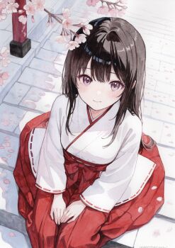 1girl absurdres black_hair blush breasts cherry_blossoms commentary_request hakama hakama_skirt hands_on_own_legs highres japanese_clothes kosode long_hair looking_at_viewer mannmaruu miko original painting_(medium) purple_eyes red_skirt sitting sitting_on_stairs skirt small_breasts smile solo stairs traditional_media watercolor_(medium) white_kosode