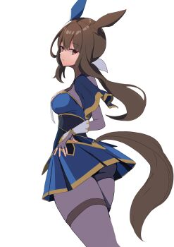1girl absurdres admire_vega_(starry_nocturne)_(umamusume) admire_vega_(umamusume) animal_ears black_pantyhose black_shorts blue_dress breasts brown_hair closed_mouth dress ear_covers fingerless_gloves gloves hair_between_eyes highres horse_ears horse_girl horse_tail long_hair long_sleeves looking_at_viewer low_ponytail medium_breasts metaria_art necktie pantyhose ponytail red_eyes shorts shorts_under_dress simple_background single_ear_cover solo tail umamusume white_background white_necktie
