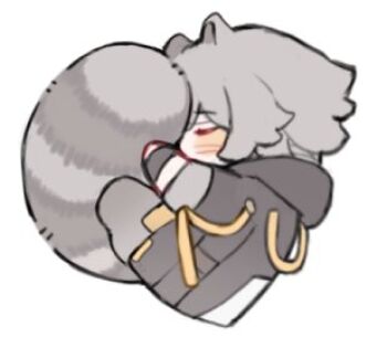 1boy animal_ears black_coat black_gloves blush caelus_(honkai:_star_rail) chibi chibi_only closed_eyes coat covered_mouth fingerless_gloves full_body gloves grey_hair hair_between_eyes honkai:_star_rail honkai_(series) hood hooded_coat kemonomimi_mode leonrui long_sleeves lowres lying male_focus on_side raccoon_ears raccoon_tail short_hair simple_background sleeping solo tail trailblazer_(honkai:_star_rail) white_background