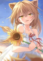 Rule 34 | 1girl, absurdres, animal ears, bare shoulders, blue sky, breasts, crossed bangs, dress, flower, highres, holding, holding flower, ina (inadahime), indie virtual youtuber, light brown hair, lion ears, lion girl, lion tail, long hair, looking at viewer, outdoors, parted lips, rurudo lion, sky, small breasts, smile, solo, sundress, sunflower, tail, upper body, virtual youtuber, white dress, yellow eyes