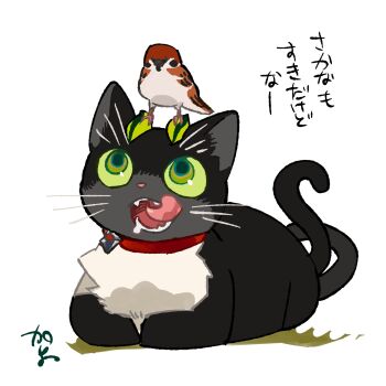 animal bird cat collar commentary full_body green_eyes highres kazue_kato no_humans open_mouth original red_collar saliva sharp_teeth sparrow teeth tongue tongue_out whiskers