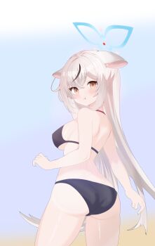Rule 34 | 1girl, :t, absurdres, alternate breast size (larger), alternate costume, animal ear fluff, animal ears, ass, back, bikini, black bikini, black streaks, blue archive, blue halo, blush, breasts, closed mouth, commentary request, covered erect nipples, cowboy shot, crossed bangs, from behind, grey hair, hair between eyes, halo, halterneck, hand up, highres, kokona (blue archive), long hair, looking at viewer, looking back, medium breasts, multicolored hair, orange eyes, pout, sidelocks, solo, straight hair, streaked hair, swimsuit, thighs, tiger ears, tiger girl, user nvvd3258, very long hair