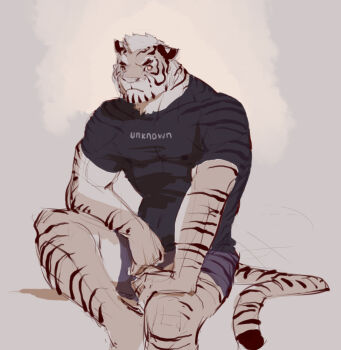 1boy animal_ears bara black_shirt boxers casual clothes_writing commentary covered_erect_nipples english_commentary facial_hair feet_out_of_frame furry furry_male goatee large_hands large_pectorals looking_at_viewer male_focus male_underwear muscular muscular_male original pectorals scar scar_across_eye scar_on_face shirt short_hair shorts sitting sketch solo t-shirt tail thick_eyebrows thighs tiger_boy tiger_ears tiger_stripes tiger_tail tight_clothes tight_shirt underwear white_fur white_hair wincalblanke