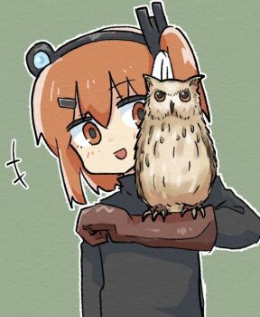 +++ 1girl a.i._voice adachi_rei arm_at_side bird black_shirt blush falconry_glove flat_chest green_background hair_ornament hairband hairclip hand_up long_sleeves one_side_up open_mouth orange_eyes orange_hair owl sagami_sagari shirt short_hair simple_background smile solo upper_body utau