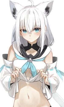 1girl ahoge animal_ears blue_eyes blush breasts closed_mouth clothes_lift commentary_request detached_sleeves fox_ears fox_girl groin hair_between_eyes highres hololive lifting_own_clothes long_hair medium_breasts navel out-of-frame_censoring shirakami_fubuki shirakami_fubuki_(1st_costume) shirt shirt_lift simple_background solo stomach thomas_8000 virtual_youtuber white_background white_hair white_shirt white_sleeves