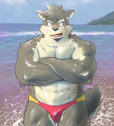 Rule 34 | 1boy, :d, abs, alternate muscle size, animal ears, bad id, bad tag, bad twitter id, bara, brown fur, bulge, crossed arms, dog boy, dog ears, fangs, fangs out, fawn2661, furry, furry male, highres, male focus, male swimwear, moritaka (housamo), multicolored male swimwear, multiple scars, muscular, muscular male, navel, open mouth, pectoral squeeze, pectorals, photo background, plump, red male swimwear, scar, smile, solo, thick eyebrows, tokyo houkago summoners, yellow male swimwear