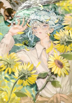 1boy animal blue_eyes blue_hair cat collared_shirt commentary_request day flower hair_between_eyes hand_up highres long_sleeves looking_up lying_on_water male_focus multicolored_eyes open_mouth original outdoors pink_eyes sahi00000 shirt short_hair solo sunflower two-tone_eyes upper_body water white_shirt yellow_flower