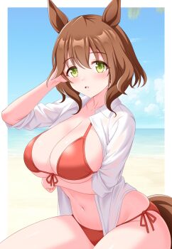 1girl :o animal_ears arm_under_breasts aston_machan_(umamusume) beach bikini breasts brown_hair cleavage collared_shirt commentary_request green_eyes gurukorian hand_in_own_hair hand_up highres horse_ears horse_girl horse_tail large_breasts light_blush looking_at_viewer navel open_clothes open_shirt parted_lips red_bikini see-through_clothes see-through_shirt shirt short_hair sitting solo stomach swimsuit tail umamusume white_shirt
