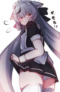 1girl absurdres alternate_costume animal_ears apron ass black_bow black_dress blue_archive blue_halo blush bow clothes_lift commentary_request dress enmaided flying_sweatdrops grey_hair hair_bow halo highres kokona_(blue_archive) long_hair looking_at_viewer looking_down maid maid_apron maid_headdress mokoni_(wao_ko) panties skirt skirt_lift thighhighs tiger_ears tiger_girl underwear very_long_hair white_apron white_background white_panties white_thighhighs white_wrist_cuffs wrist_cuffs