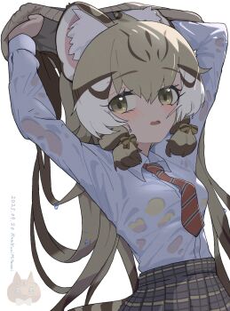 1girl animal_ears bra cardigan cat_ears cat_girl cat_tail commentary_request extra_ears geoffroy&#039;s_cat_(kemono_friends) green_eyes grey_hair grey_skirt highres kemono_friends kemono_friends_v_project kunikuni_(kunihiro2005) long_hair looking_at_viewer necktie red_necktie ribbon school_uniform shirt simple_background skirt solo tail underwear upper_body virtual_youtuber white_shirt