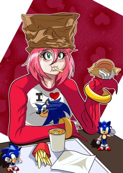 absurdres amy_rose burger fast_food food french_fries green_eyes highres humanization non-web_source pink_hair sonic_(series) sonic_adventure sonic_the_hedgehog toy