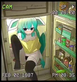 1girl animal_ears animated aqua_hair black_border black_eyes black_thighhighs blush border bottle condom condom_wrapper egg_vibrator foot_out_of_frame gen_4_pokemon glaceon in_container in_refrigerator knee_up long_hair looking_at_viewer mike_no_hito nintendo no_pants nose_blush off-shoulder_shirt off_shoulder panties personification pickle pokemon recording refrigerator sex_toy shirt side-tie_panties sitting solo string_panties tagme tail thighhighs underwear untied_panties v-shaped_eyebrows vibrator video yellow_shirt