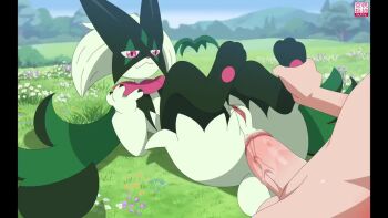 1boy 1girl anal animated anus artist_name ass audible_music cat_girl cat_tail claws completely_nude cum cum_in_ass ejaculation flower furry furry_female furry_with_non-furry gen_9_pokemon grass green_fur hetero interspecies looping_animation lying meowscarada moaning nintendo nude on_back outdoors penis pink_eyes pokemon pokemon_(creature) pokephilia pussy sarox sex sound spread_legs tagme tail testicles uncensored veins veiny_penis video