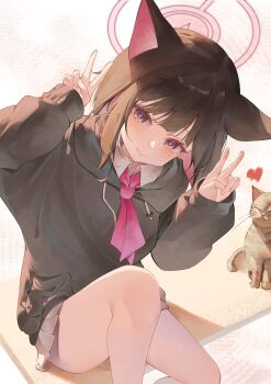 Rule 34 | 1girl, absurdres, animal, animal ears, black hair, black hoodie, blue archive, blush, cat, cat ears, cat girl, closed mouth, collared shirt, colored inner hair, commentary, double v, drawstring, feet out of frame, grey skirt, halo, hands up, highres, hood, hood down, hoodie, kazusa (blue archive), long sleeves, looking at viewer, miku rasha, miniskirt, multicolored hair, necktie, pink eyes, pink hair, pink halo, pink necktie, pleated skirt, shirt, sitting, skirt, smile, solo, two-tone hair, untranslatable commentary, v, white shirt
