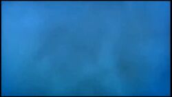 3d animated ass beach bikini cutscene dead_or_alive dead_or_alive_xtreme denim helena_douglas highres hitomi_(doa) jeans kasumi_(doa) kokoro_(doa) lei_fang lisa_hamilton multiple_girls pants screencap showering swimsuit tagme tina_armstrong undressing video video_game_screencap