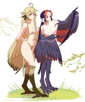 2girls absurdres ahoge animal_ears bird_ears bird_legs bird_tail black_feathers black_hair black_wings blonde_hair blonde_pubic_hair branch breasts commentary digitigrade english_commentary feathered_wings feathers female_pubic_hair flower grass harpy highres long_hair long_sidelocks medium_breasts monster_girl multicolored_hair multiple_girls navel nipples nude orange_flower orange_hair original pointing pubic_hair sidelocks tail talons two-tone_hair two-tone_wings unreal_fish very_long_hair white_background winged_arms wings yellow_eyes yellow_feathers yellow_wings