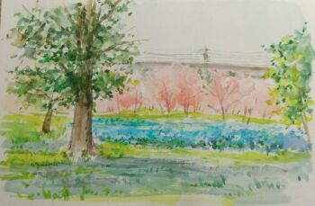 absurdres bush cherry_blossoms commentary_request day harusa1107 highres no_humans original painting_(medium) plant power_lines scenery sketch traditional_media tree unfinished utility_pole watercolor_(medium)