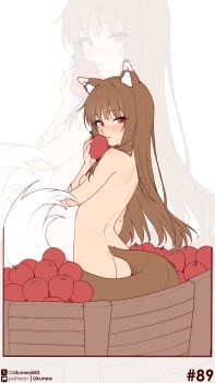 1girl absurdres animal_ears apple ass back blush brown_hair butt_crack closed_mouth commentary completely_nude english_commentary food fruit highres holding holding_food holding_fruit holo likunea long_hair looking_at_viewer nude patreon_logo patreon_username red_eyes revision solo spice_and_wolf tail twitter_username twitter_x_logo wolf_ears wolf_girl wolf_tail zoom_layer