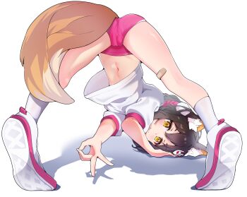 1girl animal_ear_fluff animal_ears blue_archive brown_hair buruma cameltoe commentary_request eyeshadow fox_ears fox_girl fox_tail gym_uniform highres izuna_(blue_archive) jack-o&#039;_challenge looking_at_viewer makeup navel panties panties_under_buruma panty_peek pink_buruma shoes short_hair sneakers solo tail tonno_china underwear v white_panties yellow_eyes