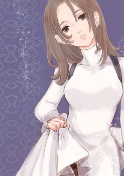 Rule 34 | 1girl, breasts, brown hair, clothes lift, commentary request, drag-on dragoon, drag-on dragoon 1, dress, dress lift, furiae, highres, lips, long hair, looking at viewer, mochiccco, solo