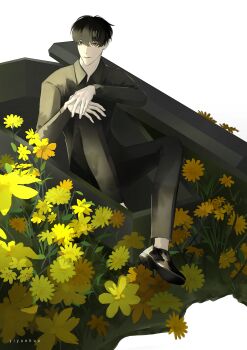 1boy absurdres black_eyes black_hair black_shirt coffin collared_shirt dandelion flower full_body hands_on_own_knee highres kim_dokja knee_up looking_at_viewer male_focus omniscient_reader&#039;s_viewpoint shirt short_hair sitting solo yiyuehua