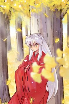 1boy animal_ears artist_name closed_mouth commentary crossed_arms dog_ears falling_leaves forest inuyasha inuyasha_(character) japanese_clothes kimono leaf long_hair long_sleeves looking_down male_focus moonlichi nature red_kimono solo symbol-only_commentary tree very_long_hair white_hair wide_sleeves yellow_eyes