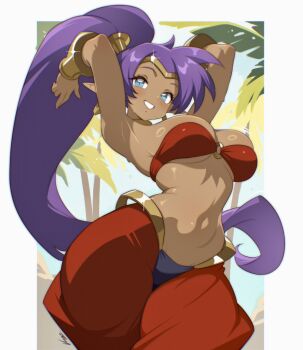Rule 34 | 1girl, arms up, bedlah, blue eyes, bracer, breasts, dark-skinned female, dark skin, day, harem pants, highres, large breasts, long hair, looking at viewer, navel, o-ring, o-ring top, outdoors, palm tree, pants, pointy ears, ponytail, purple hair, red pants, red tube top, shantae, shantae (series), smile, solo, standing, strapless, tree, tube top, vizaz