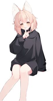 Rule 34 | 1girl, absurdres, animal ear fluff, animal ears, black choker, black hoodie, blush, brown hair, choker, commentary request, feet out of frame, finger to mouth, hand up, highres, hood, hood down, hoodie, knees together feet apart, long sleeves, looking at viewer, original, puffy long sleeves, puffy sleeves, riya (01214), short hair, shushing, simple background, sitting, sleeves past fingers, sleeves past wrists, smile, solo, white background