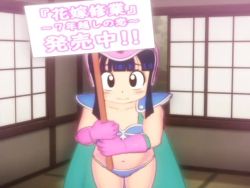 3d animated armor artist_request bikini_armor black_eyes black_hair cape chi-chi_(dragon_ball) dragon_ball gloves helmet japanese_text long_hair video