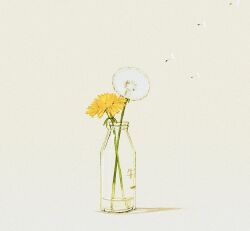 Rule 34 | bottle, dandelion, dandelion seed, flower, glass bottle, highres, milk bottle, mitsubachi (roundbee), no humans, original, shadow, simple background, still life, white background, yellow flower