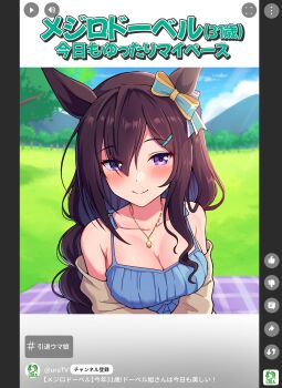 1girl absurdres animal_ears aqua_bow blue_sky blush bow braid braided_ponytail breasts brown_hair cleavage closed_mouth cloud collarbone commentary_request day ear_bow fake_screenshot hair_between_eyes highres horse_ears horse_girl jewelry large_breasts long_hair looking_at_viewer mejiro_dober_(umamusume) necklace outdoors sky smile solo takiki translation_request umamusume user_interface youtube_shorts