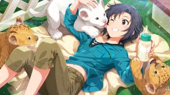 1girl animal antenna_hair baby_animal baby_bottle black_hair blue_shirt bottle brown_pants commentary_request game_cg grin holding holding_bottle idolmaster idolmaster_(classic) idolmaster_million_live! idolmaster_million_live!_theater_days kikuchi_makoto lion lion_cub long_sleeves looking_at_animal lying midriff_peek official_art on_back on_floor one_eye_closed pants shirt short_hair smile solo third-party_source