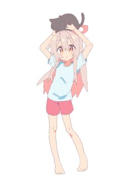 1girl ahoge animal animal_on_head arms_up bare_arms bare_legs barefoot black_cat brown_eyes cat cat_on_head commentary donguri_big flat_chest full_body hair_between_eyes highres light_blush long_hair looking_at_viewer on_head onii-chan_wa_oshimai! oyama_mahiro pink_hair red_shorts shirt short_sleeves shorts simple_background solo standing white_background white_shirt