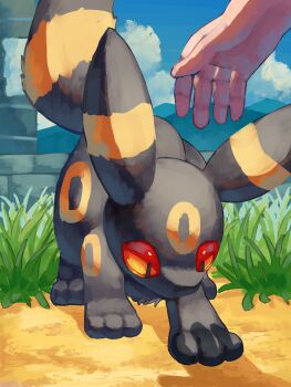 1other animal_focus black_fur blue_sky closed_mouth colored_sclera gen_2_pokemon grass highres looking_down nintendo outdoors p9kfxaofqi54546 pokemon pokemon_(creature) pokemon_focus red_eyes red_sclera sky tail umbreon