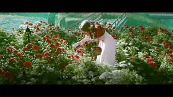 1girl 3d aerith_gainsborough bangle basket bent_over blender_(medium) bracelet braid braided_ponytail bridge brown_hair cropped_jacket day dress field final_fantasy final_fantasy_vii flower flower_basket flower_field full_body hair_ribbon highres holding holding_basket jacket jewelry lamppost leaf letterboxed long_dress long_hair outdoors parted_bangs picking_flowers red_flower red_jacket red_rose ribbon river rose scenery selescha.arts shadow sidelocks standing