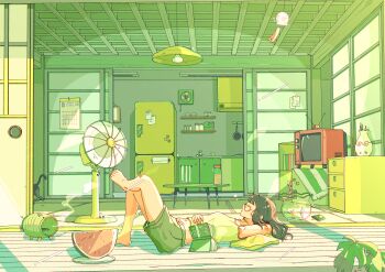 1girl absurdres arm_pillow armpits bag black_cat book bookshelf cabinet calendar_(object) cat ceiling_light chest_of_drawers closed_eyes collarbone commentary_request crop_top crossed_legs dial drawstring electric_fan english_text faucet fish fishbowl food fruit frying_pan glass_jar glasses green_shorts green_tank_top green_theme hand_on_own_stomach hanging_light highres indoors jar kitchen knees_up living_room lying magnet navel note on_back on_floor open_book original paper_towel parted_lips pillow plant plate potted_plant rabbit_ears_antenna refrigerator refrigerator_magnet salt_shaker shorts shouji sleeping sliding_doors spaghetti_strap summer tank_top television toenails toes towel vase water watermelon watermelon_slice wide_shot window_shadow wooden_floor yasi_irasuto